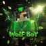vmP_osLwNTk-channel-avatar-N WolF BoY