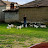 DAR Animal Rescue