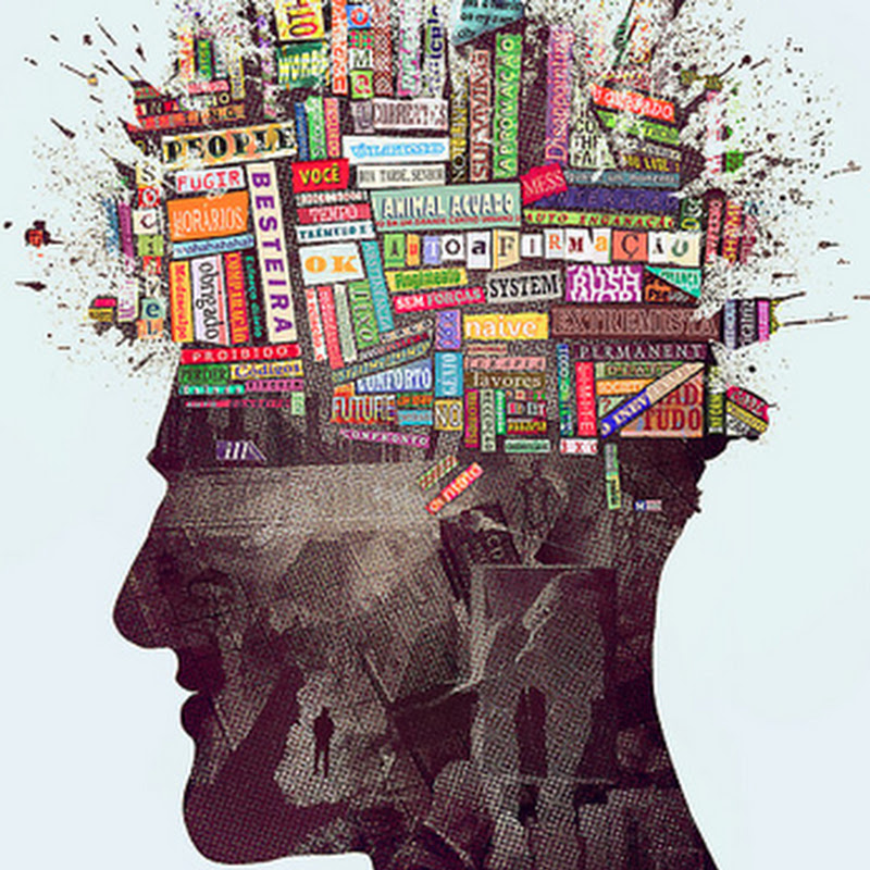 World of Knowledge Cam
