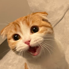 wamon