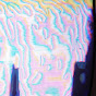 カズ