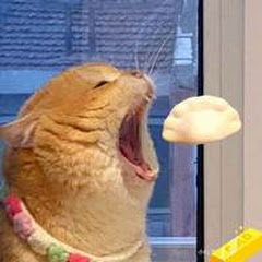 秦皇聊历史アイコン画像