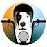 vtL2IJ1Lie0-channel-avatar-LAND SHARK