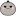 メンバー(1 年)