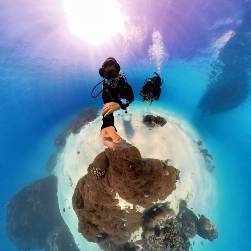 Travel Dive Discover channel avatar