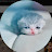 @Kitten_cutie-qp3gl7ip8b