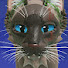 wVFYxGrkT-4-channel-avatar-catnip !!