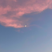 calmdays