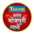 h6rxw5RC0ok-channel-avatar-Tarang Bhojpuri Gaane