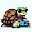 Tortoise Gaming