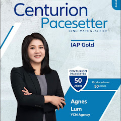 Agnes Lum 资产规划アイコン画像