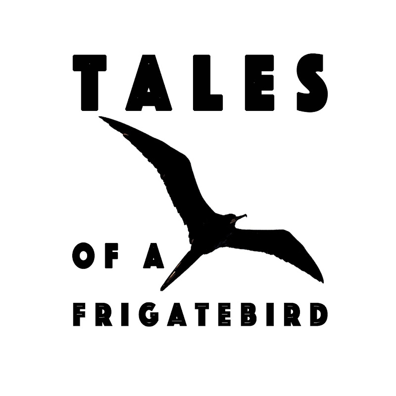 Tales of a Frigatebird