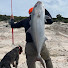 VJWXpg4P9KE-channel-avatar-Hooked Hounds