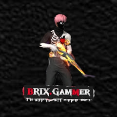 BRIX.Gammer