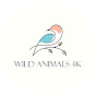 Wild Animals 4K logo