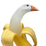 Z7_Ie0R8FAU-channel-avatar-Pipsta