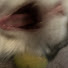 X6ZoDh8087A-channel-avatar-NYAAAAAAAAA