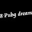 @PubgDream-77