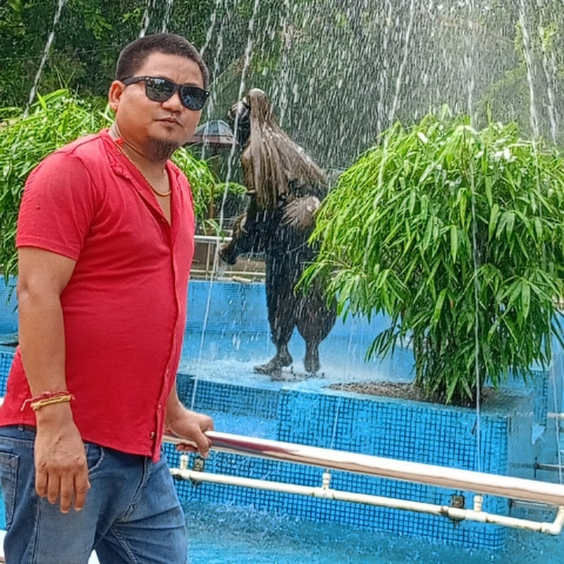 binod vlg mix talking