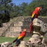 CScF0nZU6us-channel-avatar-Alcoholicos Anonimos Honduras