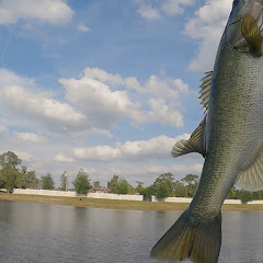 Bass fishing