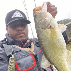 Fisherman_Van