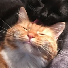 ~𝗖𝗮𝗹𝗹.𝗺𝗲_.𝗣𝗮𝗻𝘆¹⁷²☆