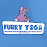 u1s-mwv-b8I-channel-avatar-Furry Yoga