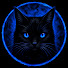 D0JqHmuV_Lg-channel-avatar-El Gato Oscuro