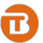 Lianyungang Teampower Technology  logo
