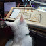 _q2CCKsKhhk-channel-avatar-CROSSstitch on the Hill 
