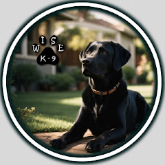 The Wise K-9