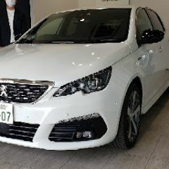 田舎民ドライブ　プジョー耐久性テストチャンネルアイコン画像
