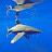 @jamesw.mcgowan1726's avatar