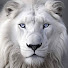 wQDSOVq02MY-channel-avatar-Im Not Lion