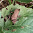 @Pembrokeshire-prepper's avatar