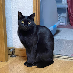 Li-ki じょじょ