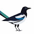 VxGwQ203Hq8-channel-avatar-The Chattering Magpi
