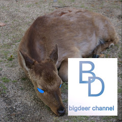 bigdeer 