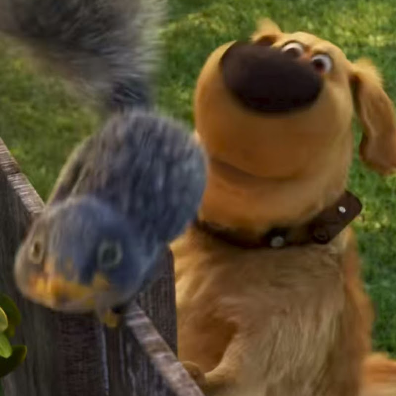 You won’t stop laughing at these car stickers🤣 #funny #fyp #carstickers #bumpsticker #car #driver