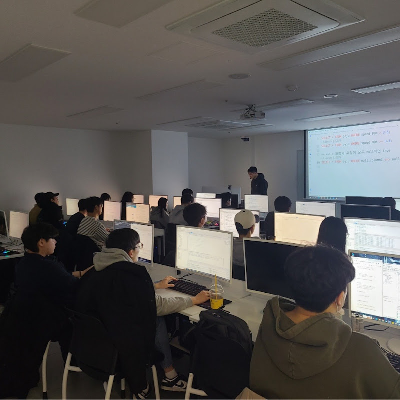 IT Education Mentor