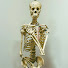 mRVrAMZxzbA-channel-avatar-Med-Surg Tutor