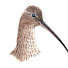 QCn4AjJ83es-channel-avatar-Vereniging Weidevogelbescherming Staphorsterveld