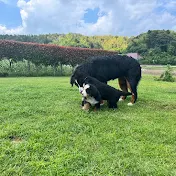 おっちゃんの日常