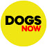 4-z6mUtJ498-channel-avatar-Dogs Now
