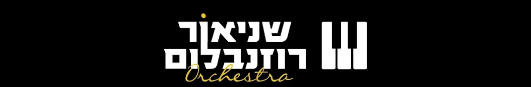 Shneor Rosenblum Orchestra YouTube channel avatar