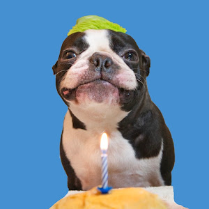 UCFJLW4vDRc7OamuzIguqUpQ YouTube channel image