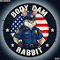 B4XXv6vIlec-channel-avatar-Body Cam Rabbit