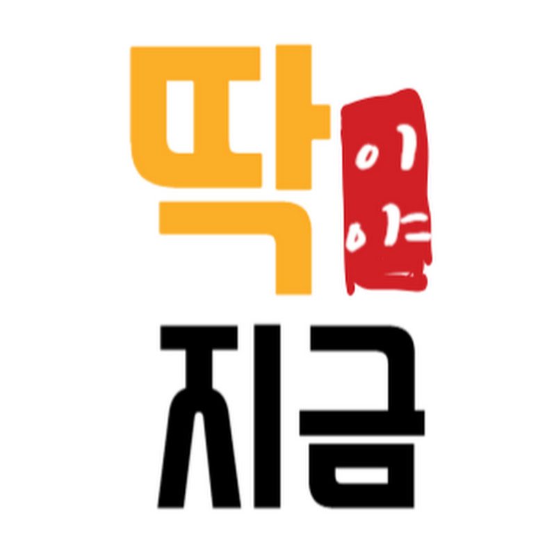 딱지금 NOW