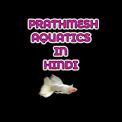 Prathmesh Aquatics In Hindi